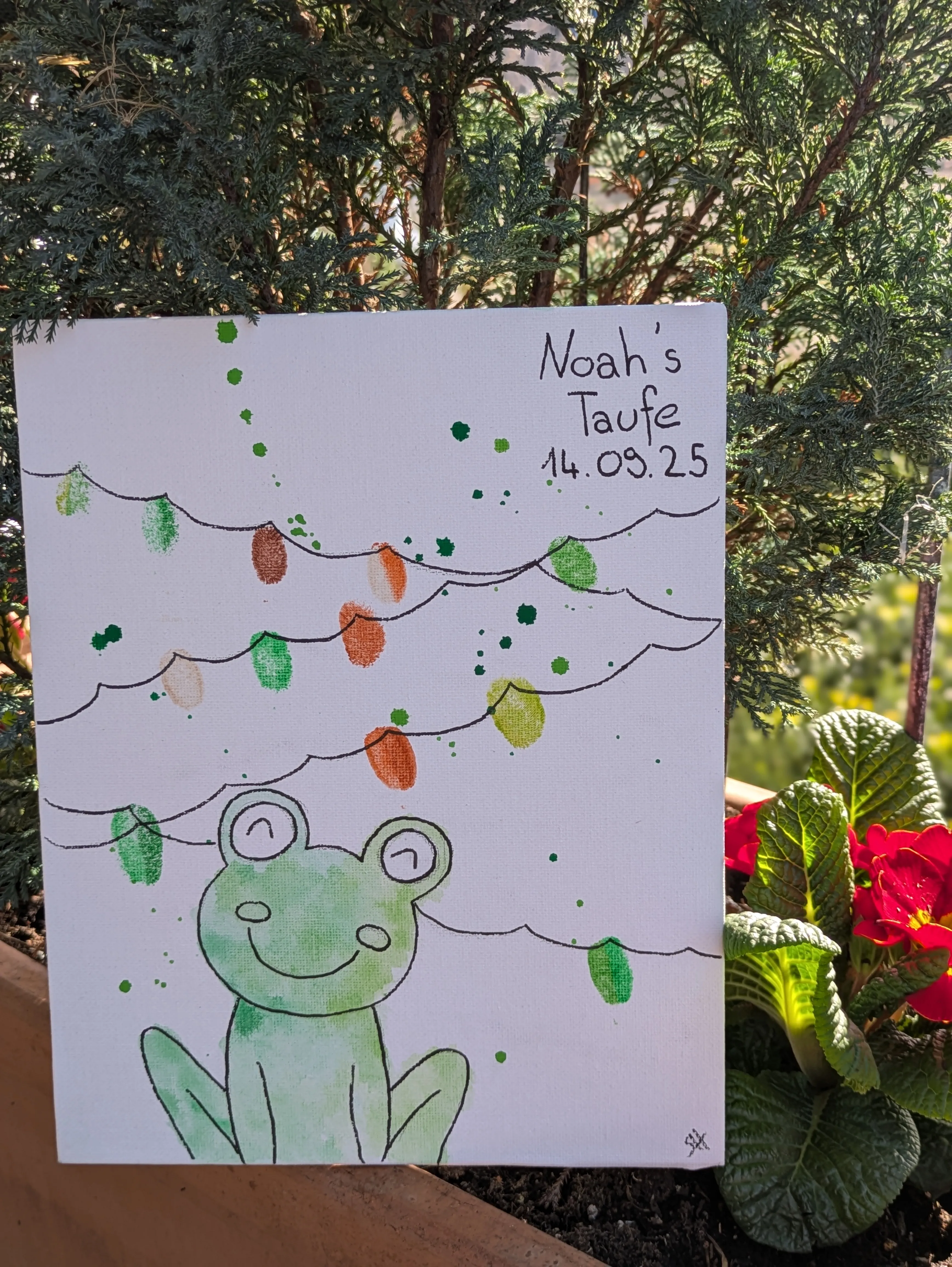 frosch taufe lichterketten